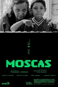  Мухи 